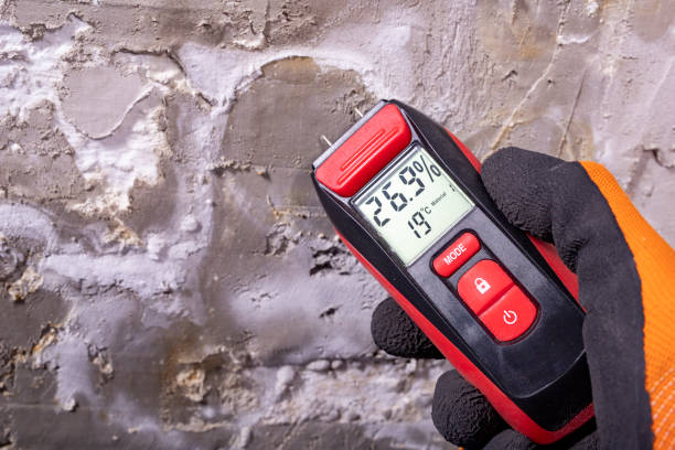 Best Mold Remediation for Specific Building Types in Arnold, CA