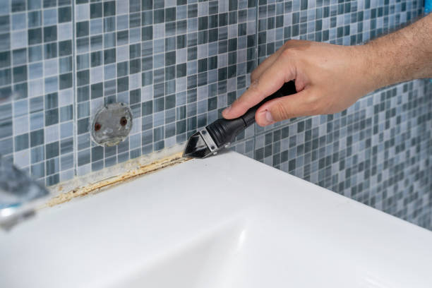 Best Localized Mold Remediation (e.g., coastal areas, humid climates) in Arnold, CA